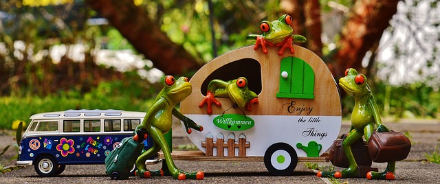 karavan a žáby